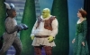 shrek musical